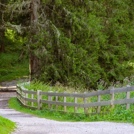 Apartment Des Alpes Canazei